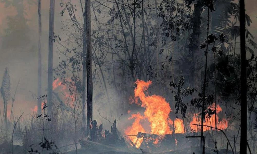 Τέθηκε υπό μερικό έλεγχο η φωτιά στη Μάνδρα